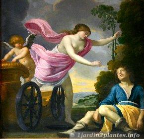 Aphrodite et Adonis