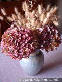 fleurs d'hortensia en bouquet
