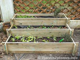 Jardinière en kit avec des plantes aromatiques, de la salade, des fraises