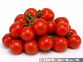 Au balcon, un petit potager permet de récolter quelques fruits comme les tomates cerise